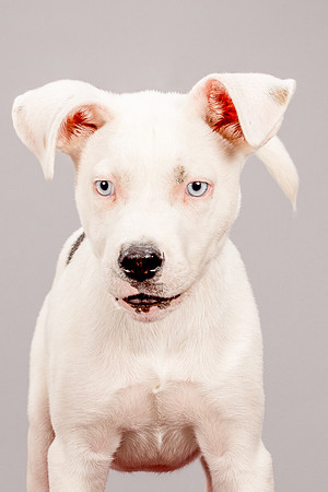 Foster Alvin-4740