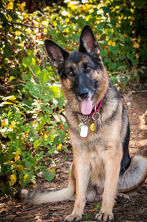 Gretchen-0728