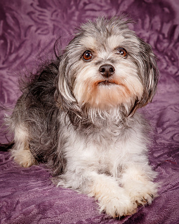 Foster Alex-6263