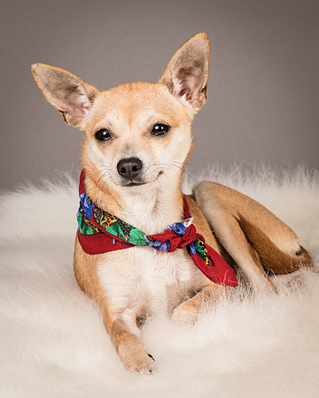 Foster Rosanna-3871