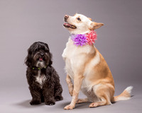 Maggie and Henry-7138