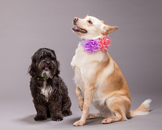 Maggie and Henry-7138