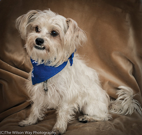 Foster Ricky-9014