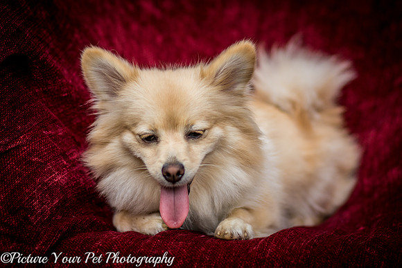 Foster Shirley-6097