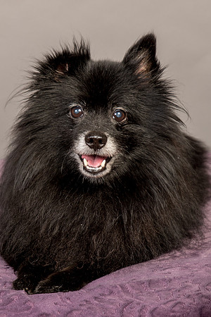 Foster Wayne-8291