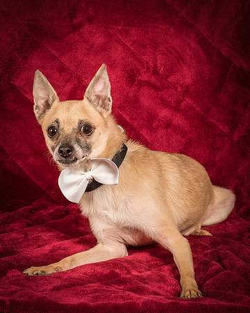 Foster Kiwi-8719