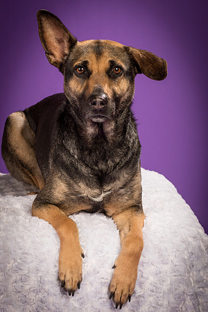 Izzy-2239