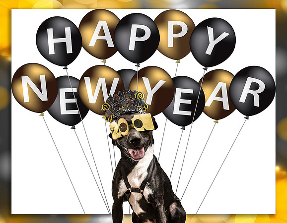 GCSPCA Calendar-January