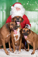 Santa Claus-3303