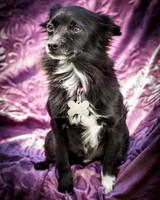 Foster Julio-6253