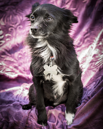 Foster Julio-6253