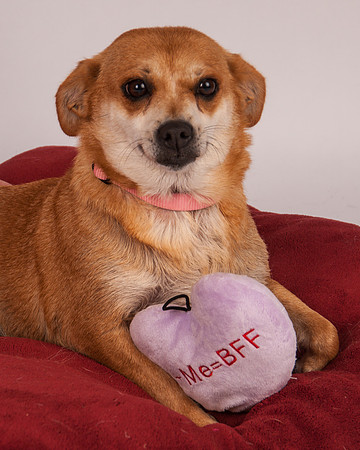 Foster-19-MW-3609