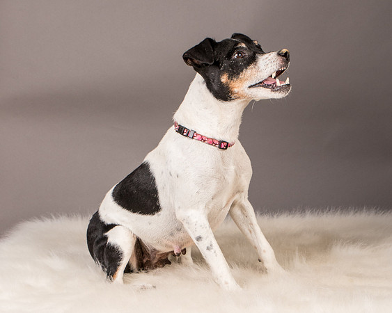 Foster Pollyanna-3905