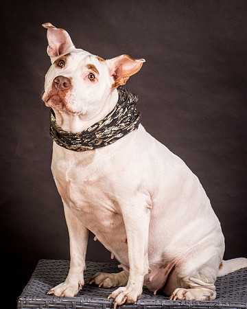 Foster Joanie-0435