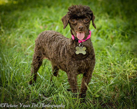 Foster Edna-2902