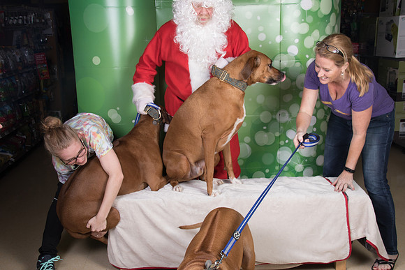 Santa Claus-3290