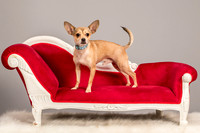 Foster Crouton-3752