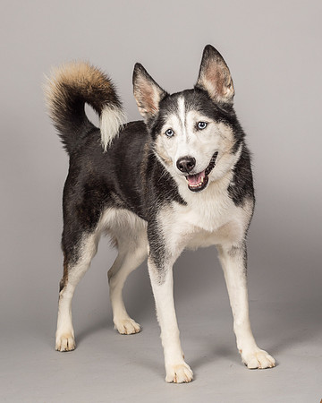 Bella-2486