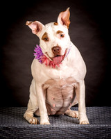 Foster Joanie-0415