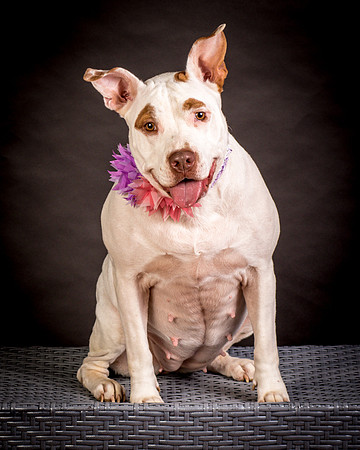 Foster Joanie-0415