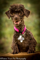 Foster Edna-2882