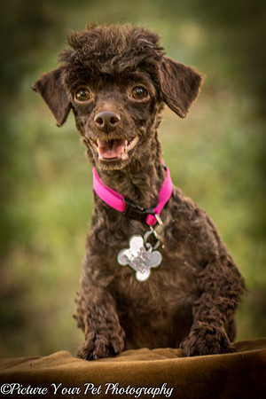 Foster Edna-2882