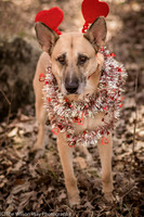 Foster Rita-2568