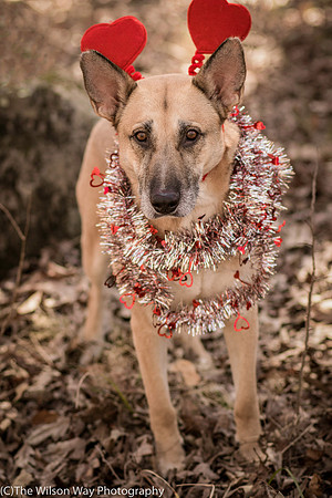 Foster Rita-2568