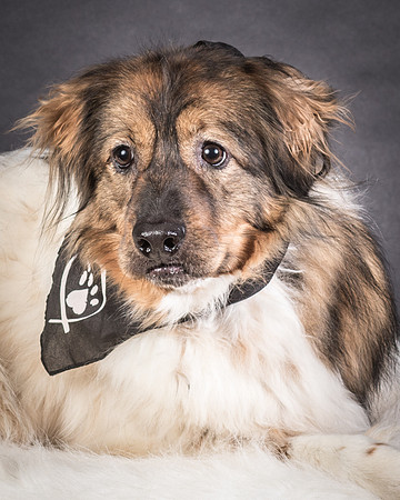 Foster Kai-8434
