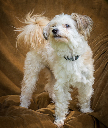 Foster Ricardo-8753
