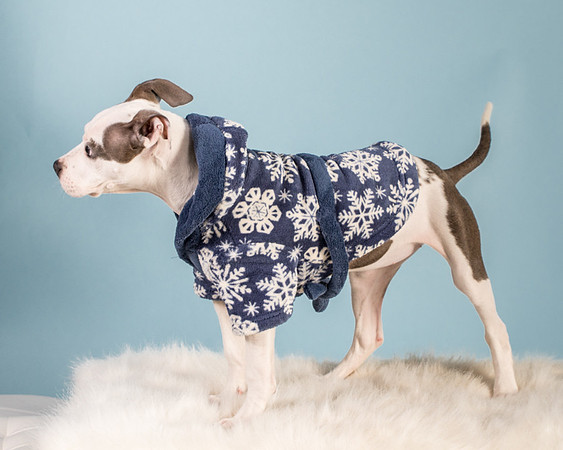 Foster Luna-4789