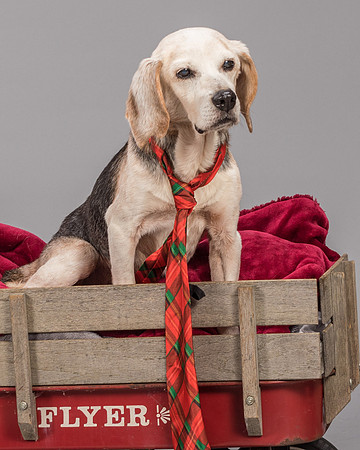 Foster Gabe-2357