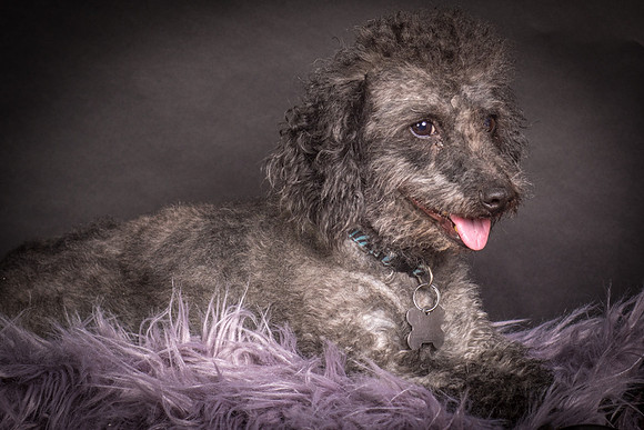 Foster Mokey-1372