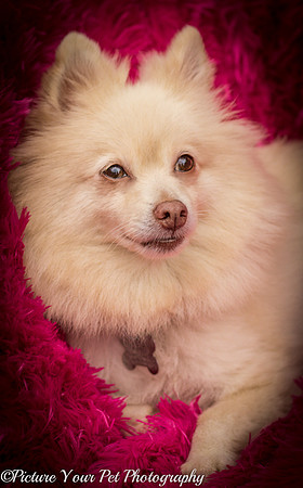Foster Laverne-6313