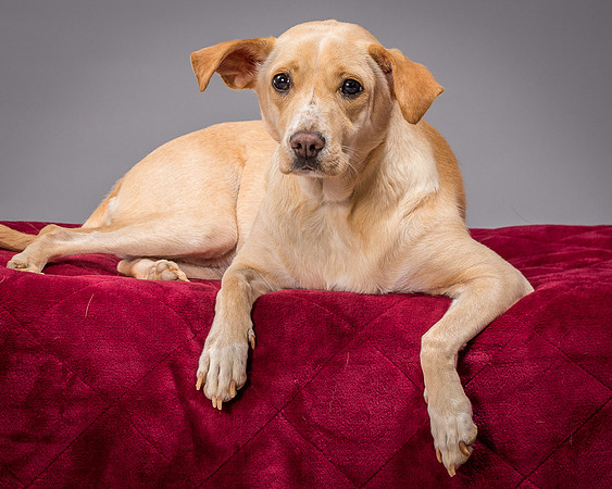 Foster June-3517