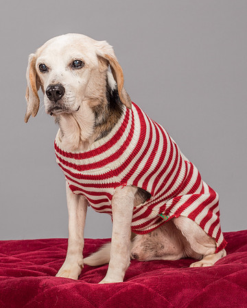 Foster Gabe-2321