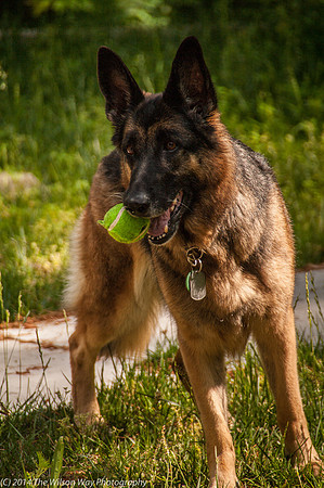Gretchen-6211