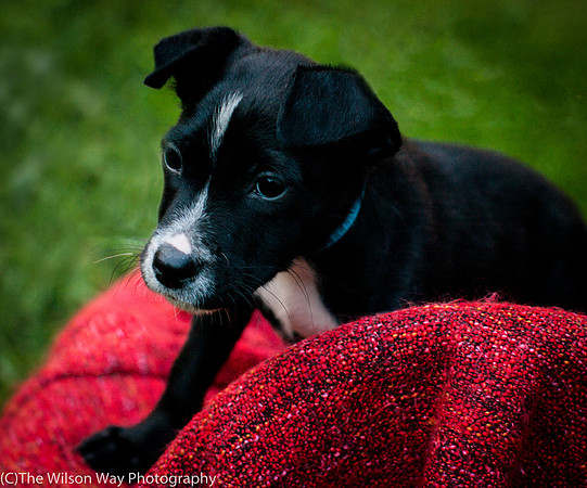 Foster Blythe-3949