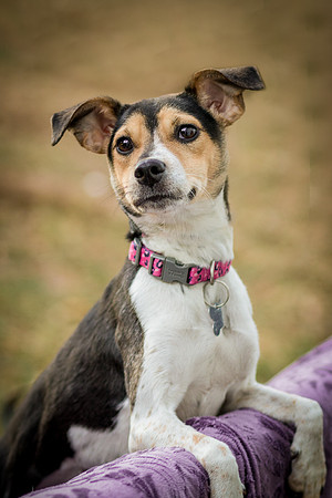 Foster Buffy-5683