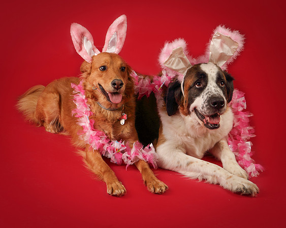 Ollie and Heidi-8329