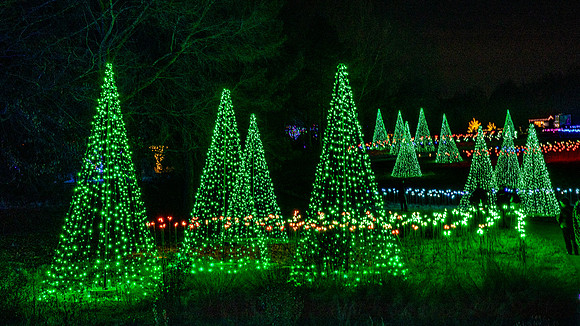 Christmas-2767