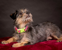 Foster Nadine-9595