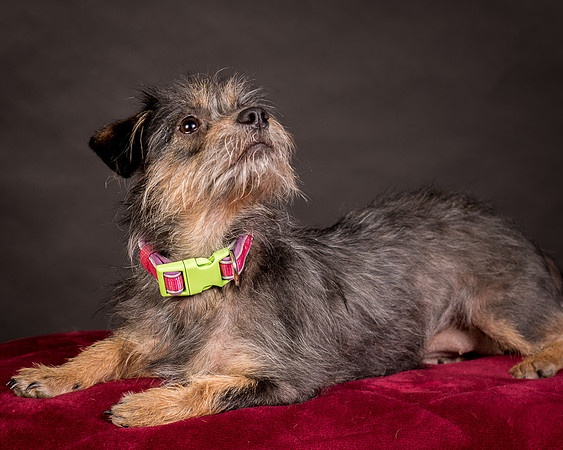 Foster Nadine-9595