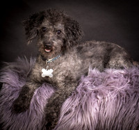 Foster Mokey-1342