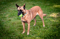 Bonnies BD-8067