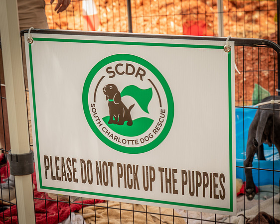 SCDR-6463