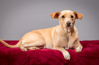 Foster June-3457