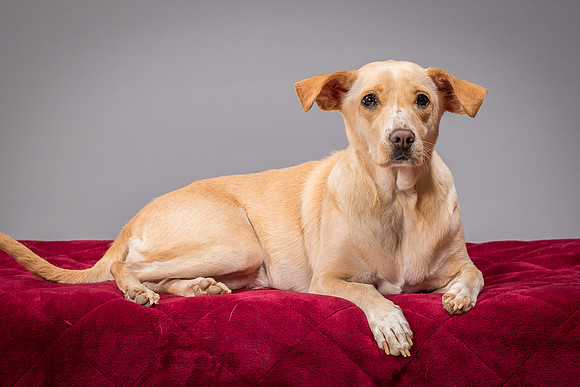 Foster June-3457