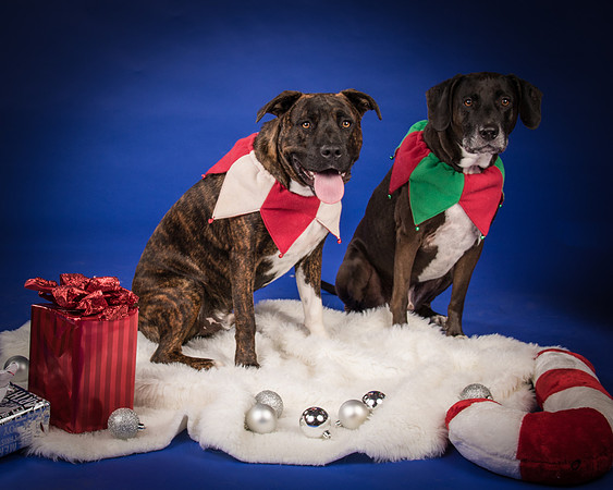 Rosser-Kody and Edge-6088