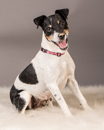 Foster Pollyanna-3899